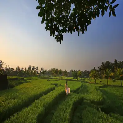 Wapa di ume Resort - Ubud