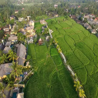 Wapa di ume Resort - Ubud