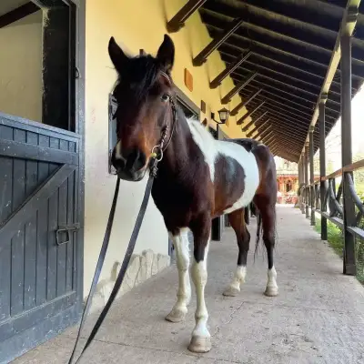 Hotel Berke Ranch and Nature