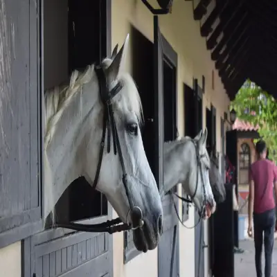 Hotel Berke Ranch and Nature