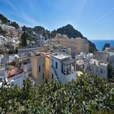 Albergo Gatto Bianco - Capri