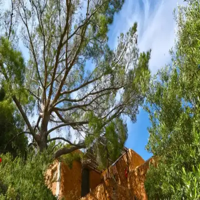 Aspros Potamos Houses