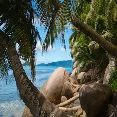 Colibri Hotel - Seychelles