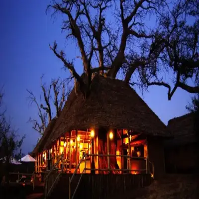 Tarangire Treetops - Tarangire