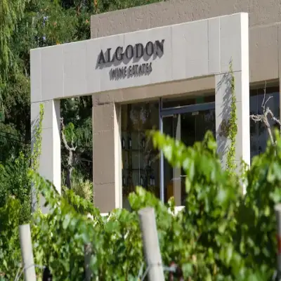 Algodon Wine Estates - San Rafael