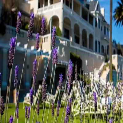 Ellerman House - Cape Town