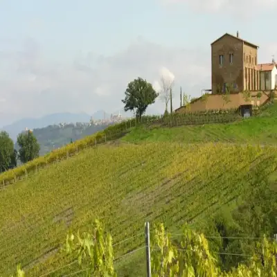 Locanda Palazzone - Orvieto