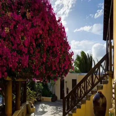 Casa Tomaren - Lanzarote İsland