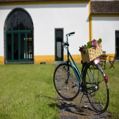 Pico do Refúgio - Ribeira Grande