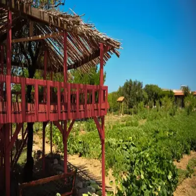 Aral Holiday Farm, Bozcaada