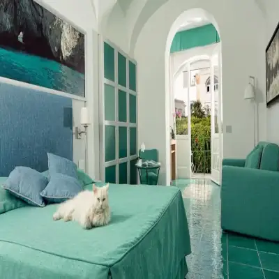 Albergo Gatto Bianco - Capri