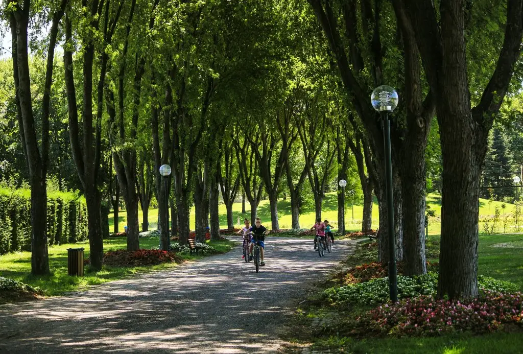 Photo: Soğanlı Botanic Park