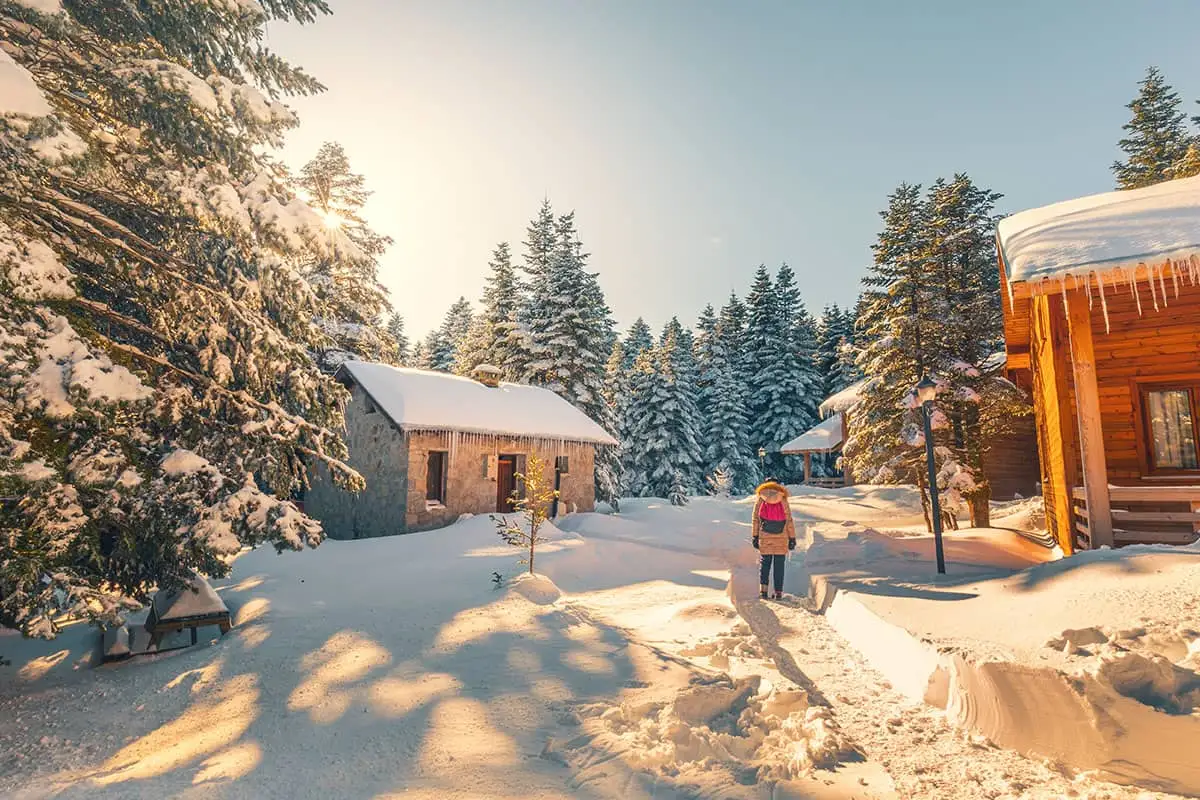 Photo: Uludağ National Park